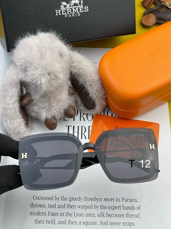 Hermes Sunglasses 41